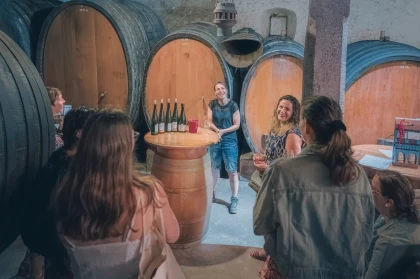 Balades vigneronnes - Expériences Pays de Barr