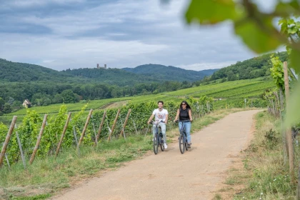 Croq'vélo terroir : location de vélo électrique et repas - Expériences Pays de Barr