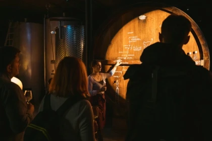 Dégustation de 5 vins et visite de cave Immersive - Expériences Pays de Barr