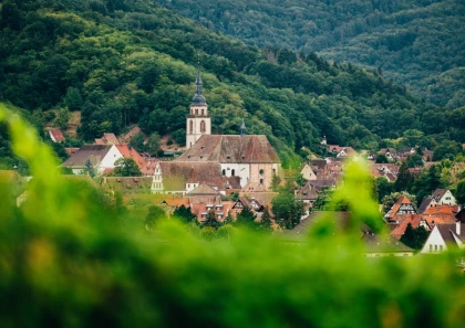 Dégustation gourmande à Andlau - Expériences Pays de Barr