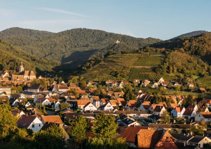 Dégustation gourmande à Andlau - Expériences Pays de Barr