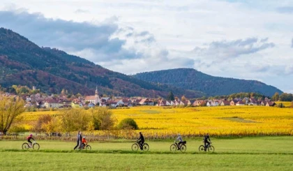 E-bike 3h - Panoramique Oenophile Tour - Expériences Pays de Barr