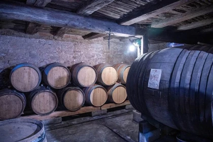 FORMULE "DANS LES PAS DU VIGNERON" - De la Vigne au Verre - Expériences Pays de Barr