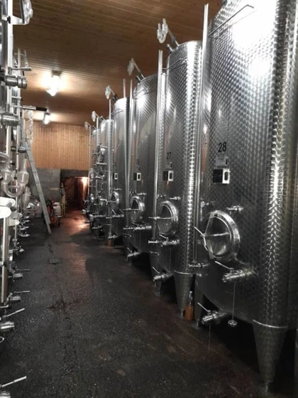 FORMULE "DANS LES PAS DU VIGNERON" - De la Vigne au Verre - Expériences Pays de Barr