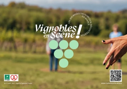 Vignoble en scène - Alsace : APERO SOPHRO AU COEUR DES VIGNES - Expériences Pays de Barr