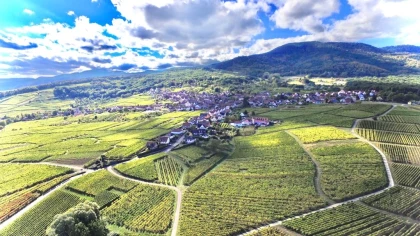 Randovignes 2h - Oenophile - Expériences Pays de Barr