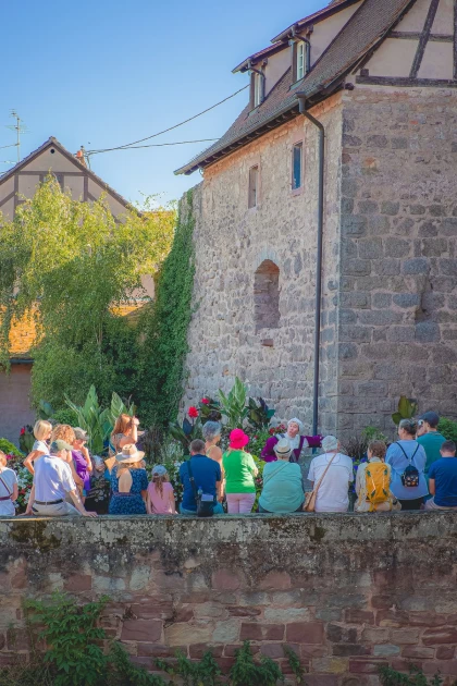 Retour au Moyen-Age : visite théâtralisée à Dambach-la-Ville - Expériences Pays de Barr