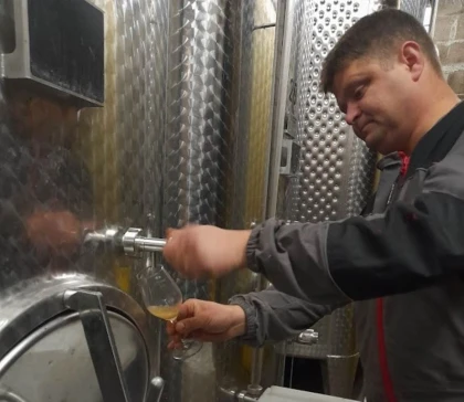 VIGNERON D'UN JOUR - Elaboration des Crémants d'Alsace - Expériences Pays de Barr