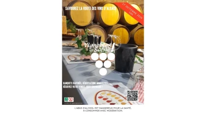 Vignoble en scène - Alsace : ATELIER ŒNO : Initiation à la dégustation - Expériences Pays de Barr