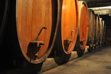 Visite de cave et dégustation - Expériences Pays de Barr