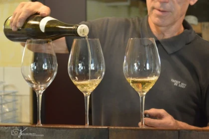 Visite de cave et dégustation - Expériences Pays de Barr