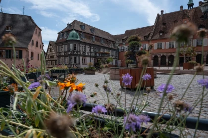 Visite guidée: découvrez Barr au travers de son patrimoine en danger - Expériences Pays de Barr