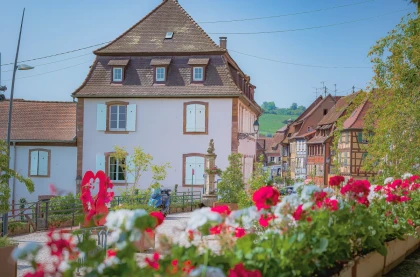 Visite guidée: découvrez Barr au travers de son patrimoine en danger - Expériences Pays de Barr