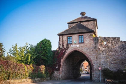 Visite guidée: découvrez le patrimoine de Dambach-la-Ville - Expériences Pays de Barr