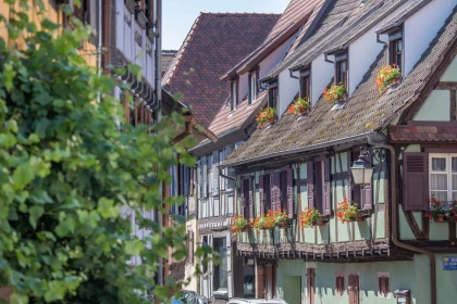 Visite guidée: découvrez le patrimoine de Dambach-la-Ville - Expériences Pays de Barr