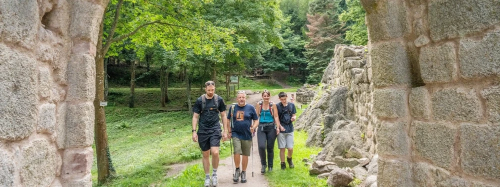 Château du Bernstein © Vincent Schneider