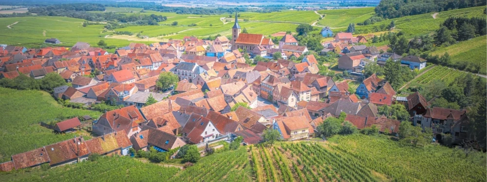 Blienschwiller et son vignoble © Jérémy Koller