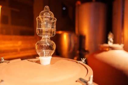 50 ANS DE BULLES – 7 TEMPS - PLUSIEURS VIGNERONNES - Expériences Pays de Barr