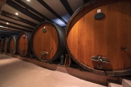 Segway 2h - Dégustation autour du Grand Cru Frankstein - Expériences Pays de Barr