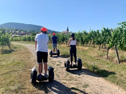 Segway 2h - Dégustation autour du Klevener - Expériences Pays de Barr