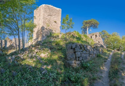 SEGWAY - À L'ASSAUT DU CHÂTEAU DU LANDSBERG - 2H00 - Expériences Pays de Barr