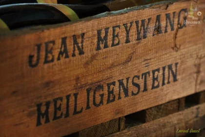 Visite de cave et dégustation - Expériences Pays de Barr