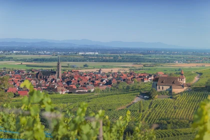 Visite guidée: découvrez le patrimoine de Dambach-la-Ville - Expériences Pays de Barr