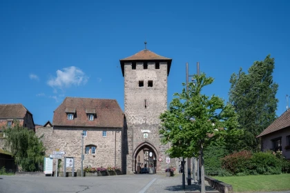 Visite guidée: découvrez le patrimoine de Dambach-la-Ville - Expériences Pays de Barr